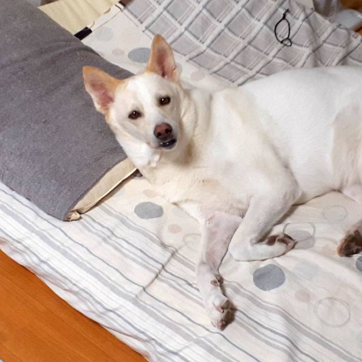 A8ffcfbb 2486 4b49 b6d3 04430adc3745 1629965552028