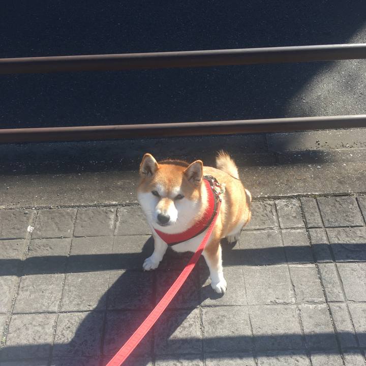 A8ffea0a 9c47 421d 9fb6 a5da2ef7484c 1608694579735