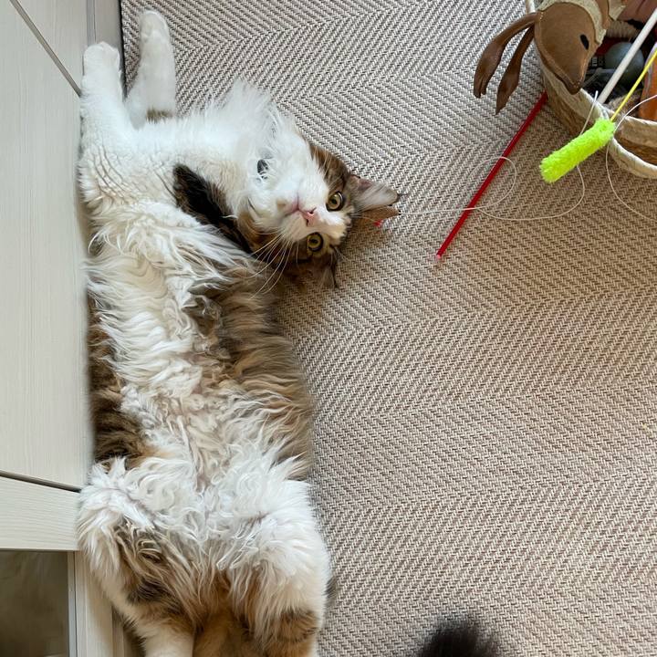 A90012b6 c491 4a31 8d97 7e002657f196 1650748062590