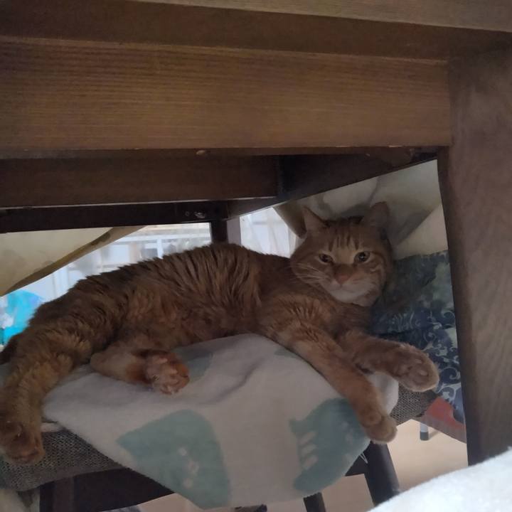 A900434f fc06 4bb7 9c46 84931a6fa931 1705008963215