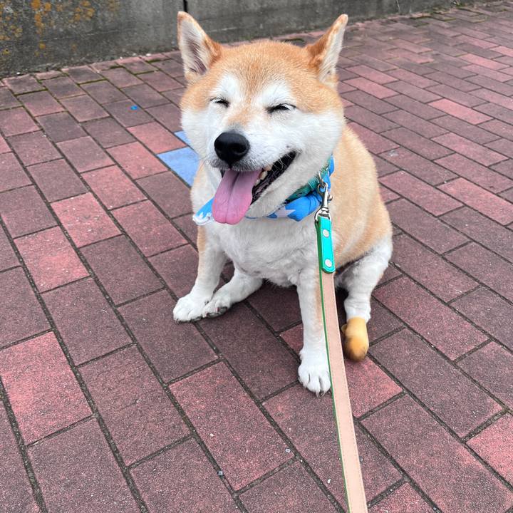 A900799e 7fdc 4cb9 90d5 bf53d07376b3 1719282600410