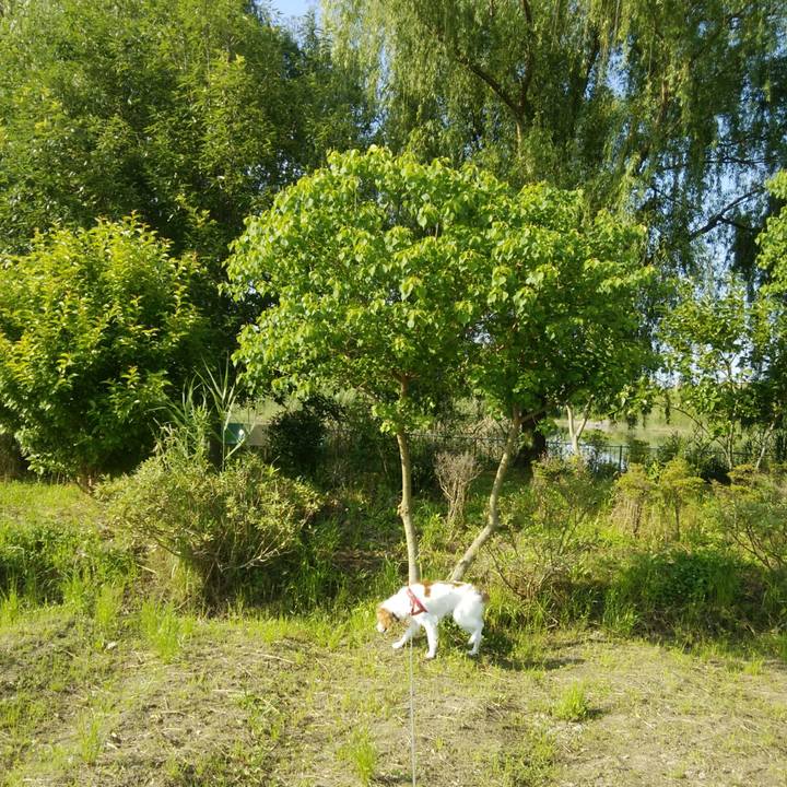 A9007b19 481a 4098 a729 dadfc6e73ef3 1528114568460