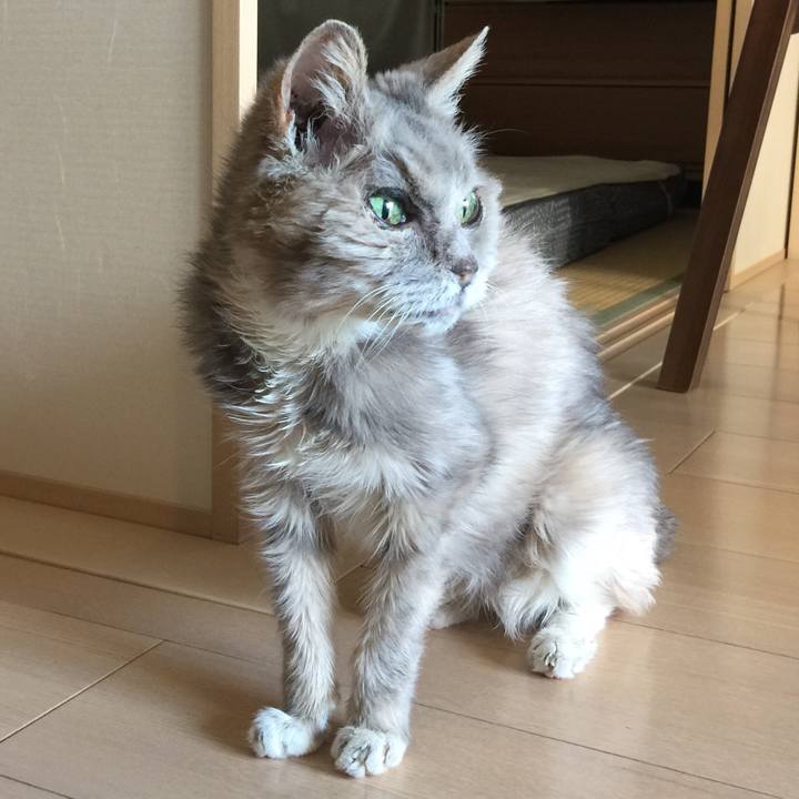 A9008327 bc67 4eb6 86a7 3bfea2754dc9 1585961774637