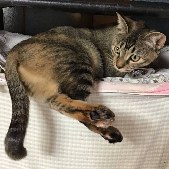 A90112ec 8f26 4981 a66a b1a1a4d8799c 1580804241364