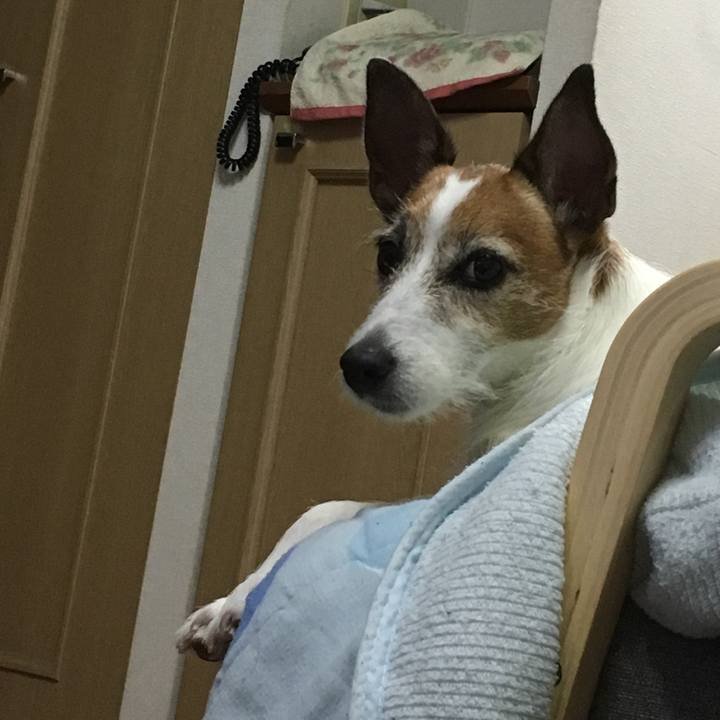 A9015534 bc61 40d5 9fc9 c413b97ffa62 1562885119453