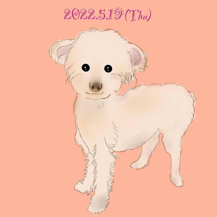 A90156aa 8bf5 46c0 bc88 91818381665f 1652963020625