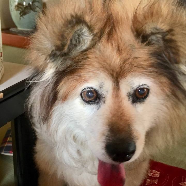 A901b3a0 1a66 440b 9767 31de8566d085 1549960499634