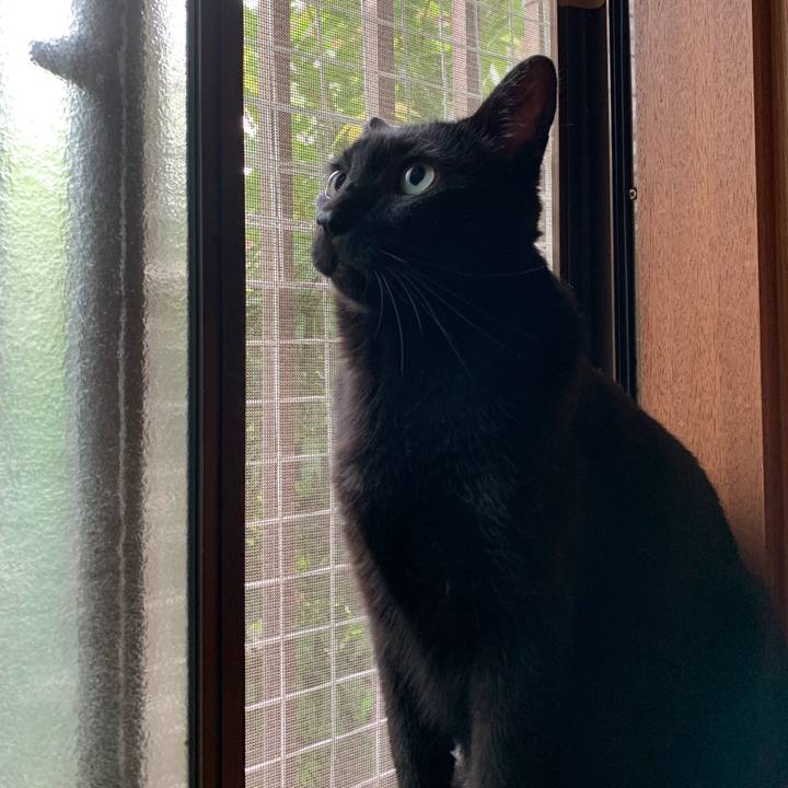 A901c534 3334 4ef8 b5e1 4e0f8e453277 1569113943884