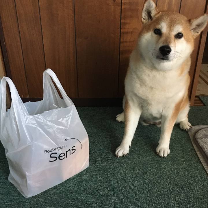 A901e520 fb4a 4820 9517 6dbe6c9083fc 1603779501308