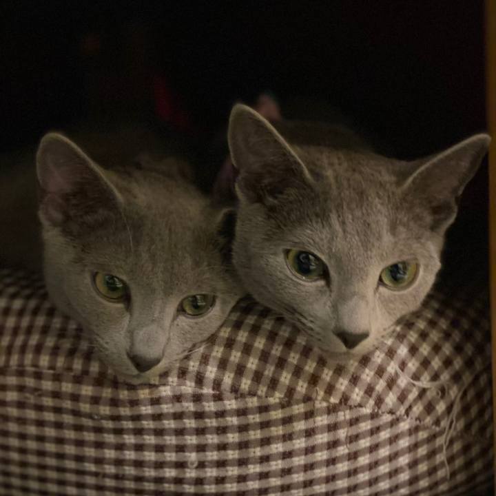 A901ed77 a261 4e3b 8fa9 8cfae8ccda92 1609329389451