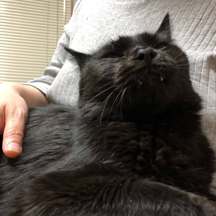 A9020bf3 da33 4ad6 ad19 39523dcd0cba 1586785388371