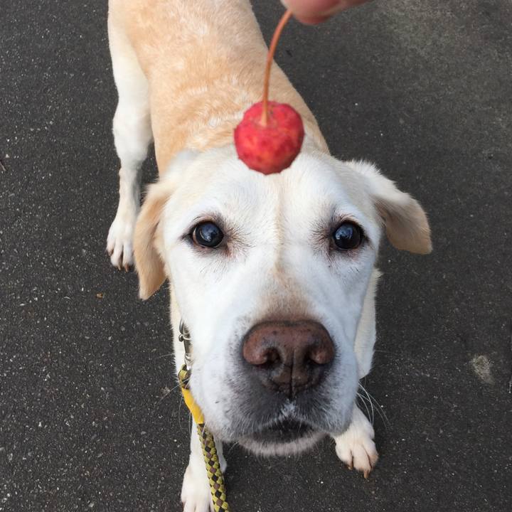 A9023839 51fd 4e29 8081 39a0b036ad2a 1600258103299