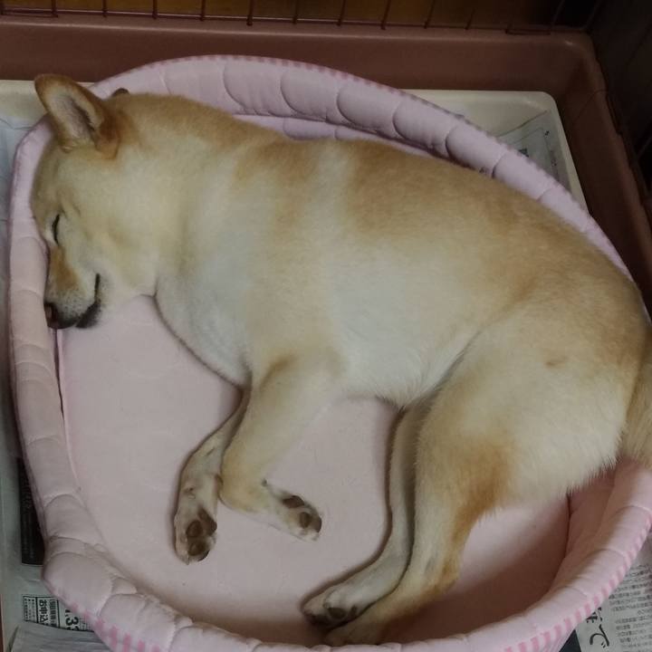 A9023eea 3186 49a0 9061 86a9055703f3 1591965188468