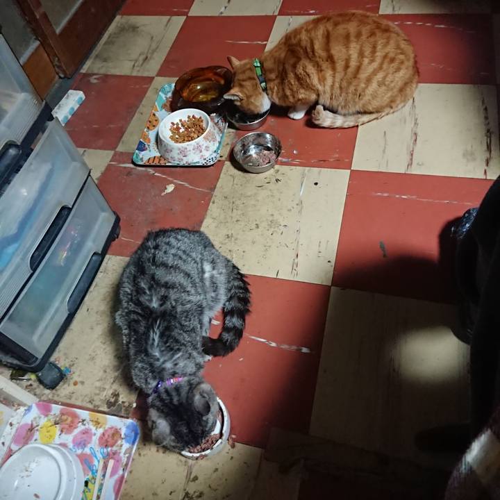 A9024304 eda5 4523 b4cc 9c7ee080c89d 1582920989137