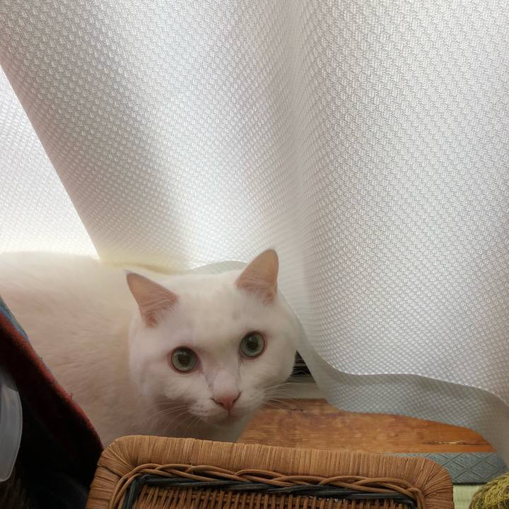 A902508b a1c1 42f4 9390 82c3d67316c3 1606561168958