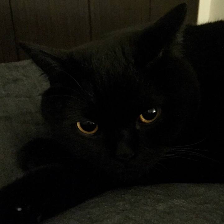 A90274c6 fefa 4ed0 be8a 779c820d94e1 1541770941313