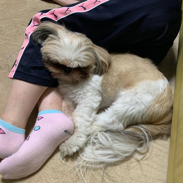 A902824a e4c6 40b5 b54f f130ab007dac 1622379533800