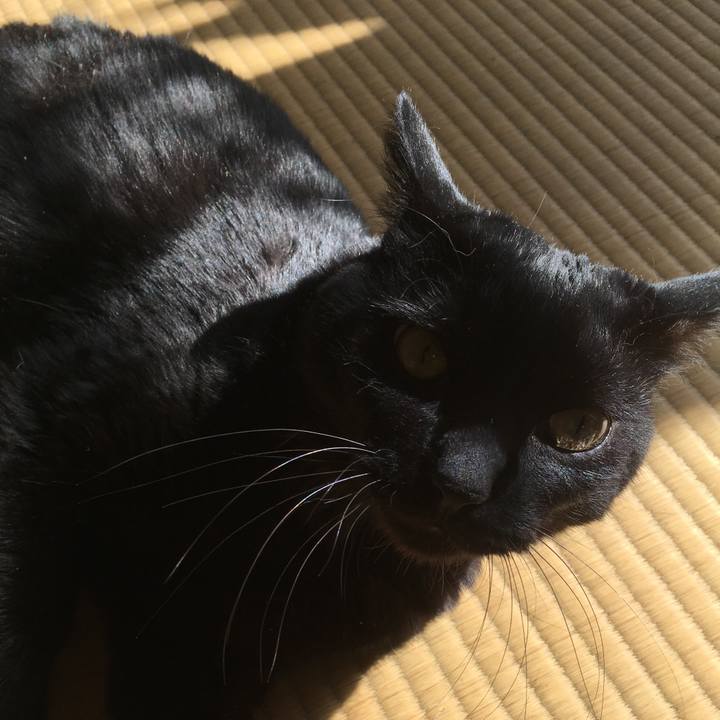 A902970c 707b 4b71 871c 994f05e1edfb 1541647224929