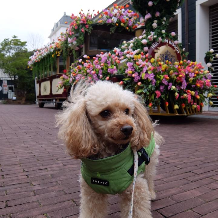 A90299a8 ac0b 4fd2 bc64 81061de675c3 1579510243181