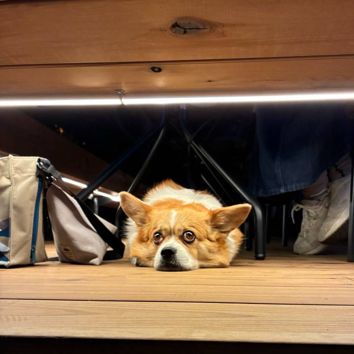 A902d96d c08b 434d 8549 3c67e9401c70 1745762340660