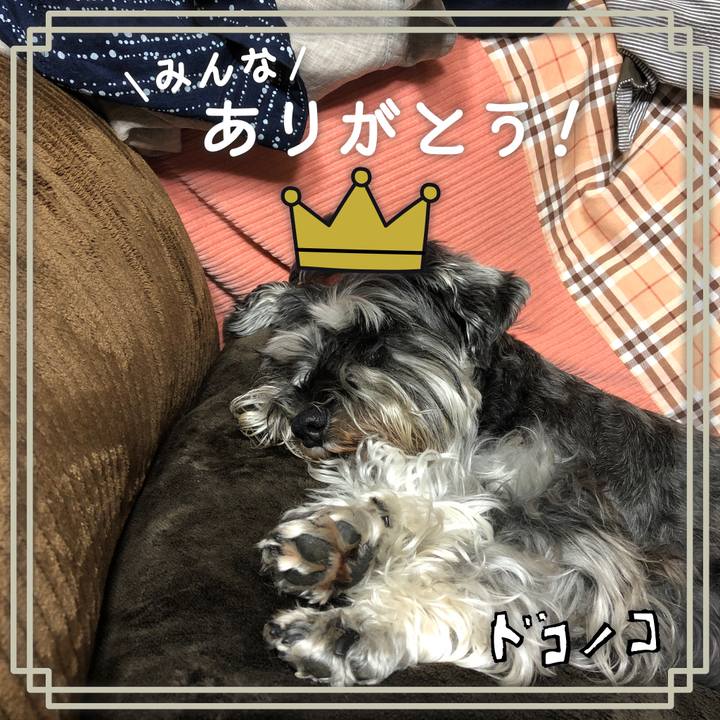 A902fc55 06cf 4a7e 8e2e c07d76caaed3 1622898403879