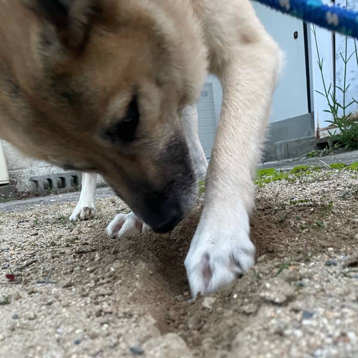 A903099e 60aa 4904 8095 7e21169f7ebc 1652966288806