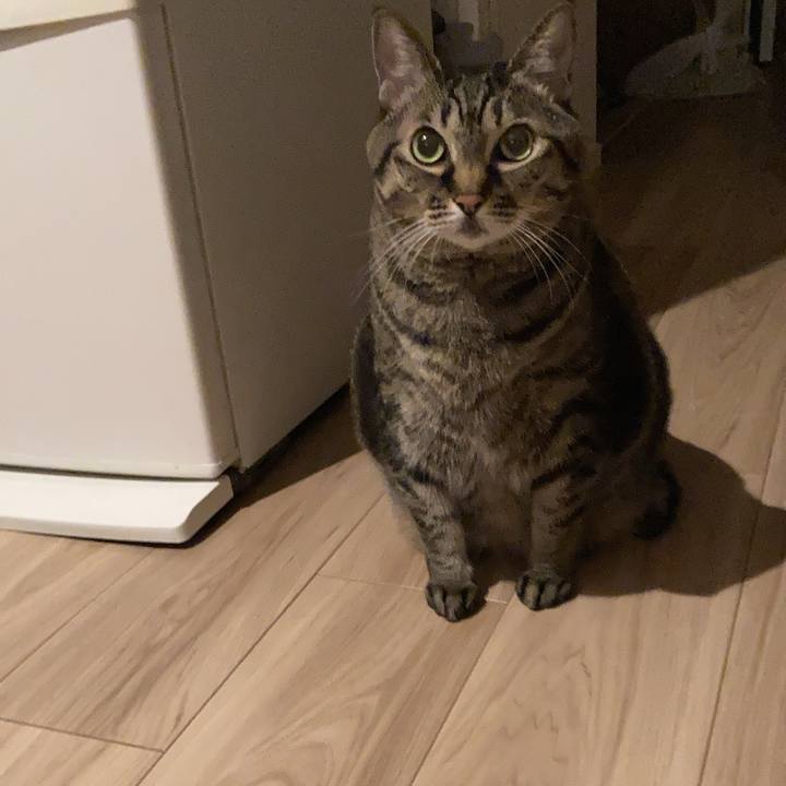 A9036405 bc82 436f b91b 2f22852c9191 1730277068354