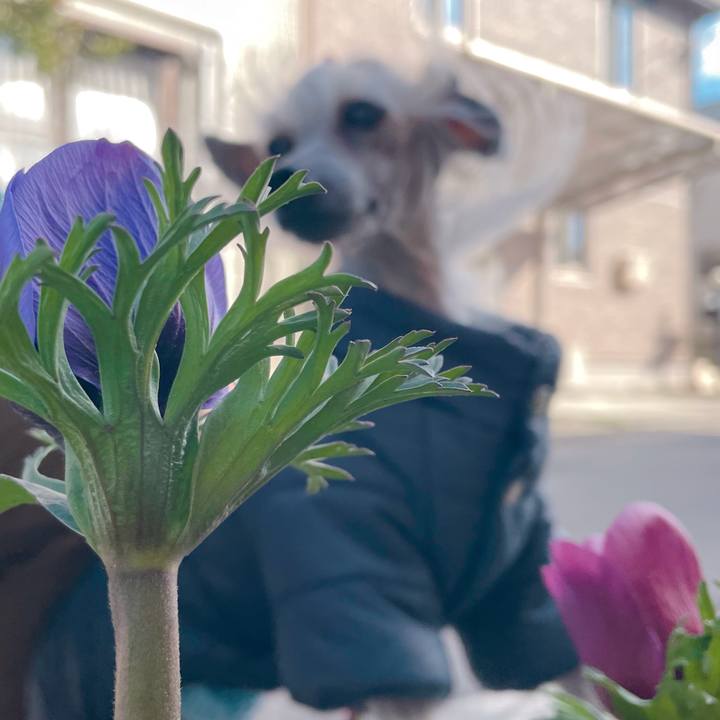 A9036558 76c2 44b8 a629 36d8ccf61b78 1773128374005