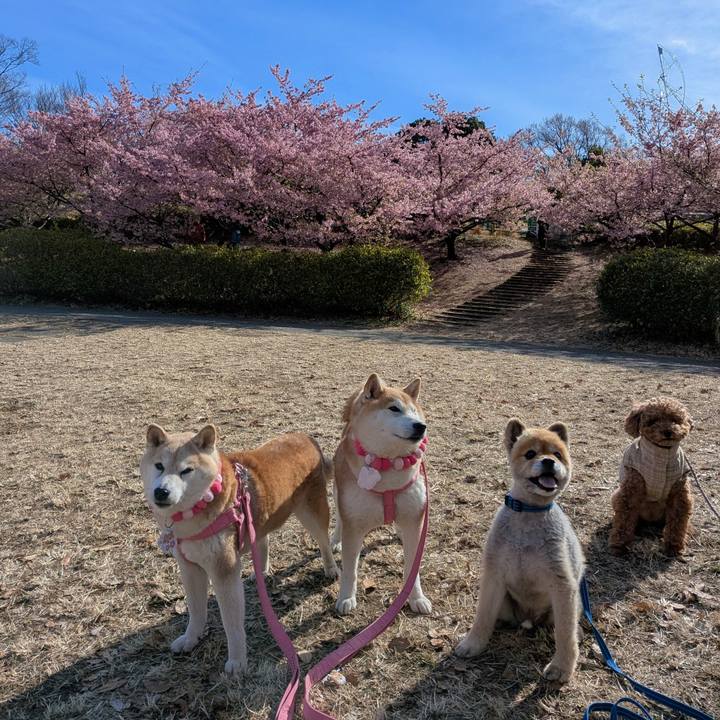 A9037db6 8d04 4390 a43e 8f70438c2624 1772161513813