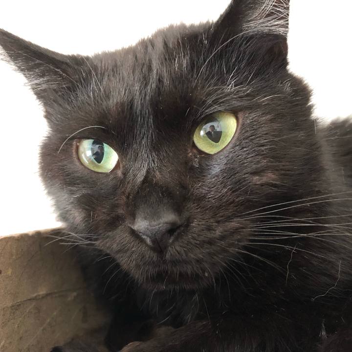 A90421f3 f294 4341 bcb0 4ed007126bf4 1565767586208