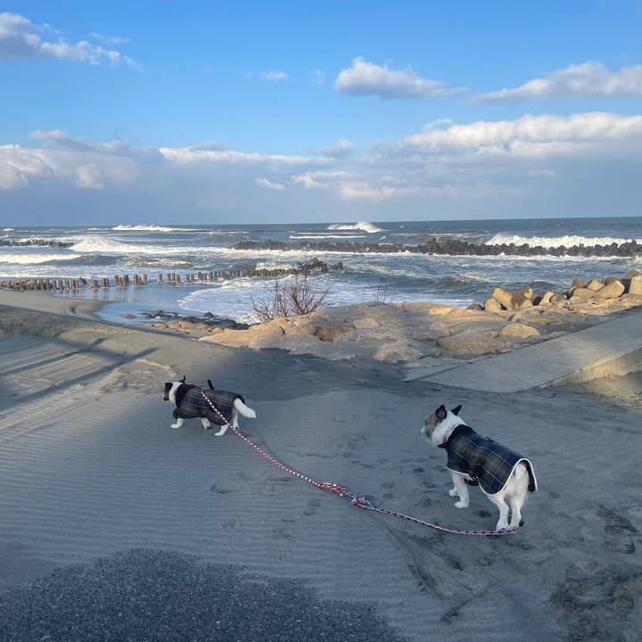 A9042e53 c2e2 48e7 ad97 bca027cbb269 1772925599488