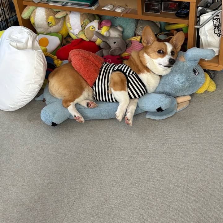 A9043e7c 6243 4fe9 9b22 3fafbbcead33 1761704314098