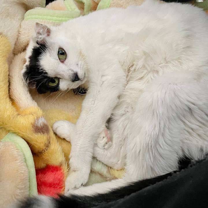 A9044828 7837 4d82 939c 41b4e660f774 1715161767766