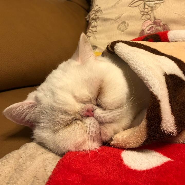 A90453d7 22f3 435e 873a 479345c062f6 1615988113004