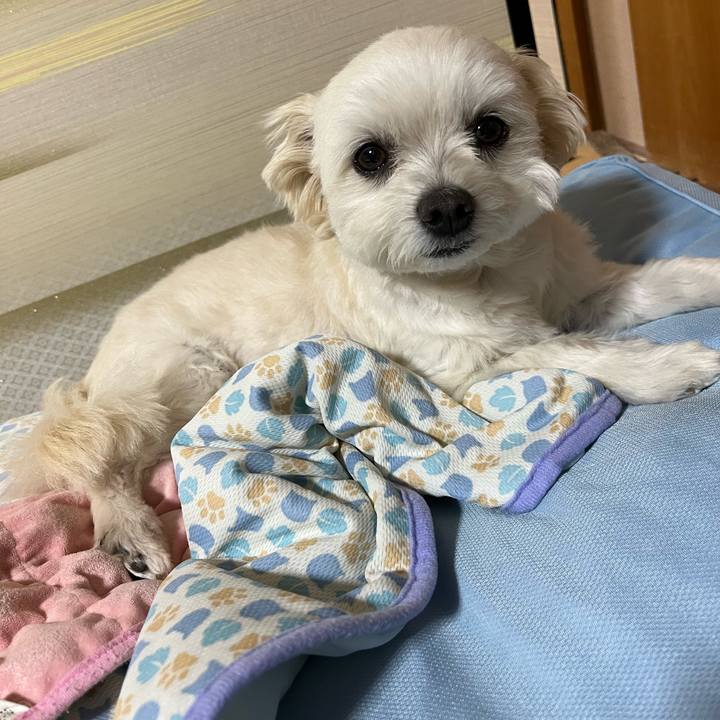 A9049089 96dd 4693 8b90 fd6b91ace9d8 1653994800590