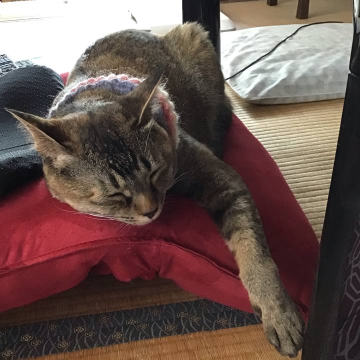 A904d4e3 da26 4d2e a8dd 5cfc4ee943ea 1625020261633