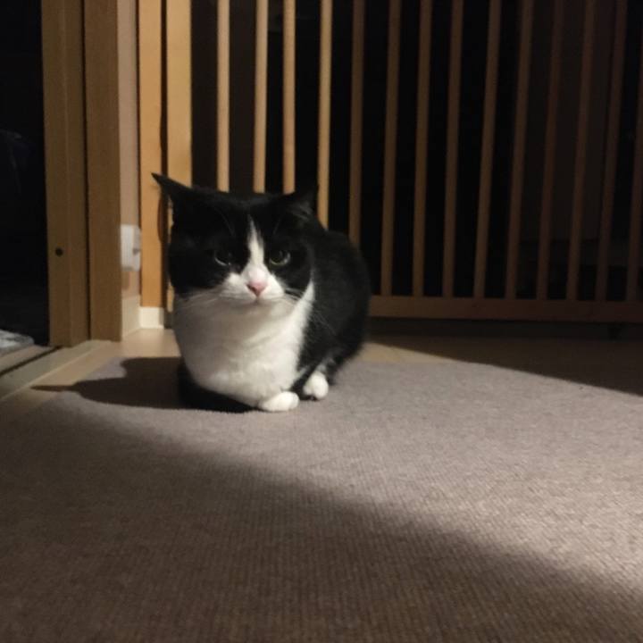 A9053ac9 3d57 4e84 9dd6 e37316413ba0 1599620670502