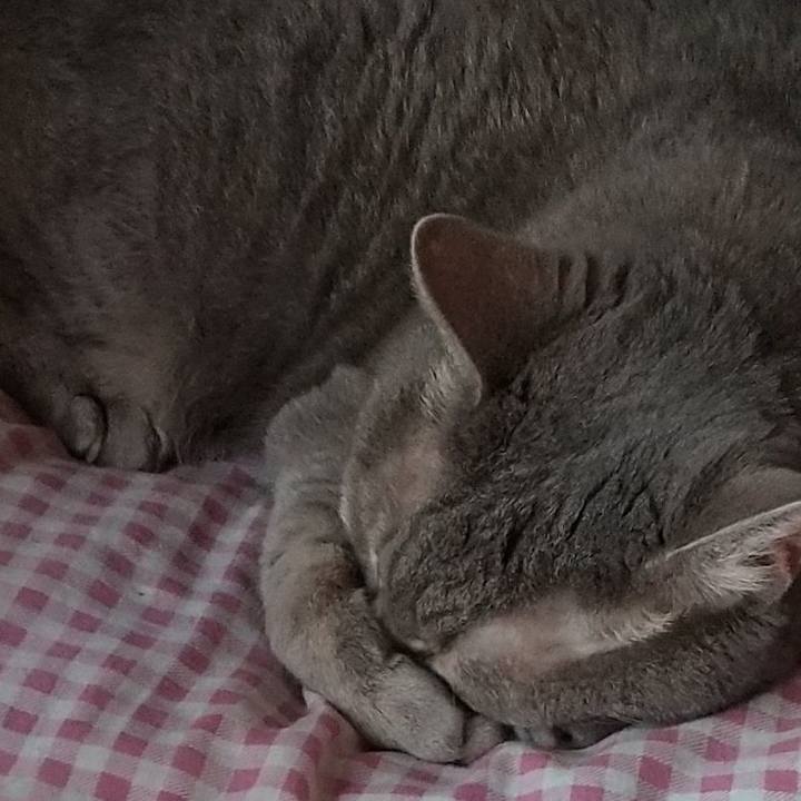 A90592e5 831d 43b2 a05f fc9459e2eddc 1600664240408