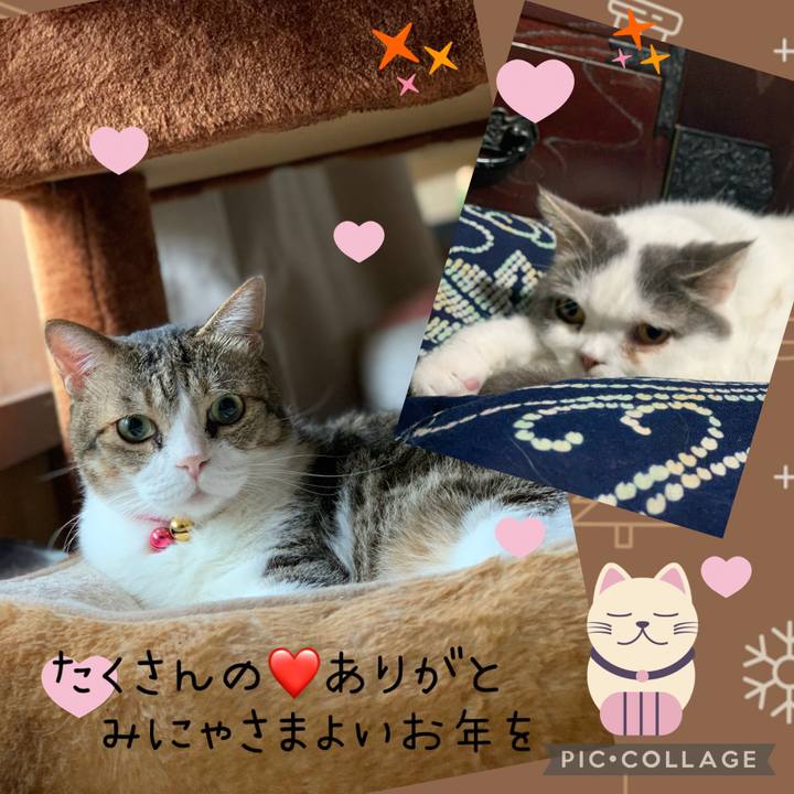 A9059a06 9251 4c1d bcf4 0600576cd85e 1672454568783