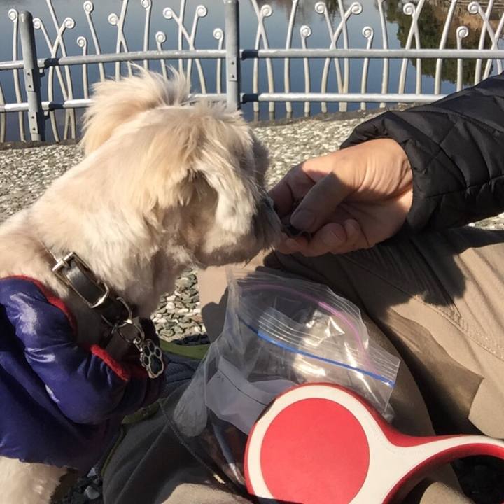 A9059c74 b6b9 4720 9f0a 85763698ea06 1513577630369