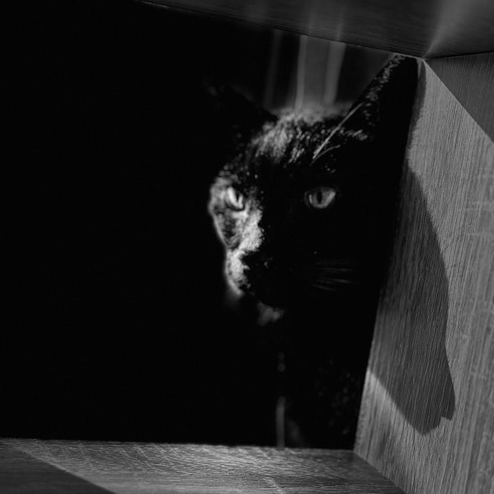 A905d5d5 11a8 4917 9c3d e413a17778c6 1697676766437