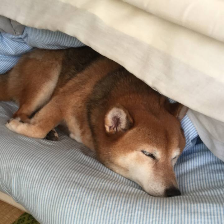 A905f77a 8382 4fe6 b477 07e22e396d69 1605419332853