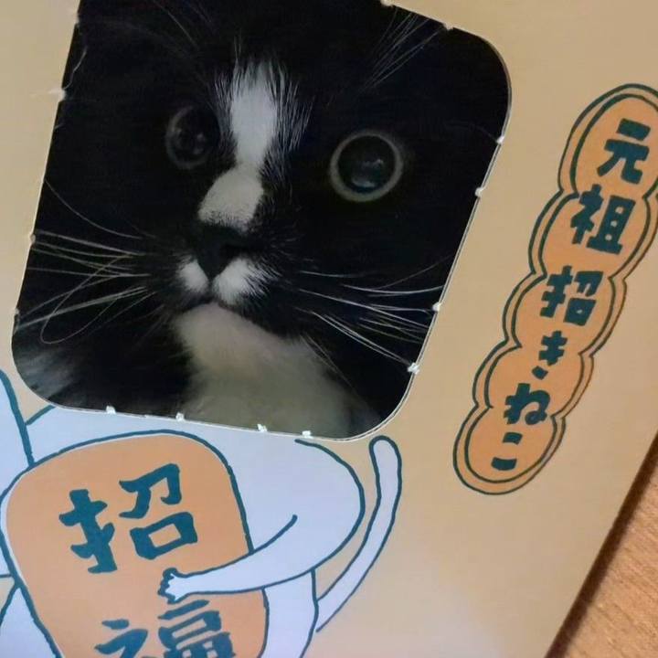 A90606c0 24dd 4220 ae06 1db84162d34c 1744027656925