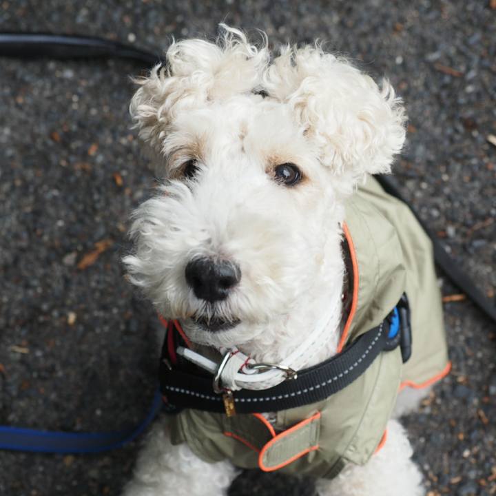 A90606db 7f5d 499c 9ddb 7a7027320e7b 1508279636220