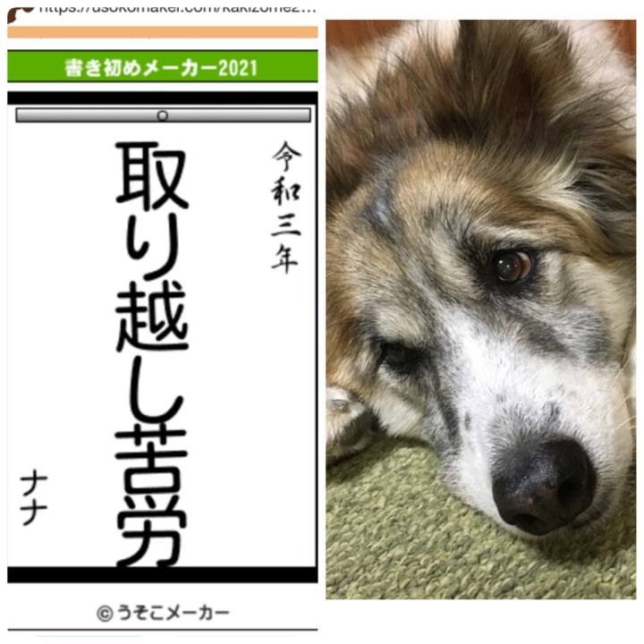 A90621fe 1564 4af3 895a 0ac2d25c0ecb 1609818296923