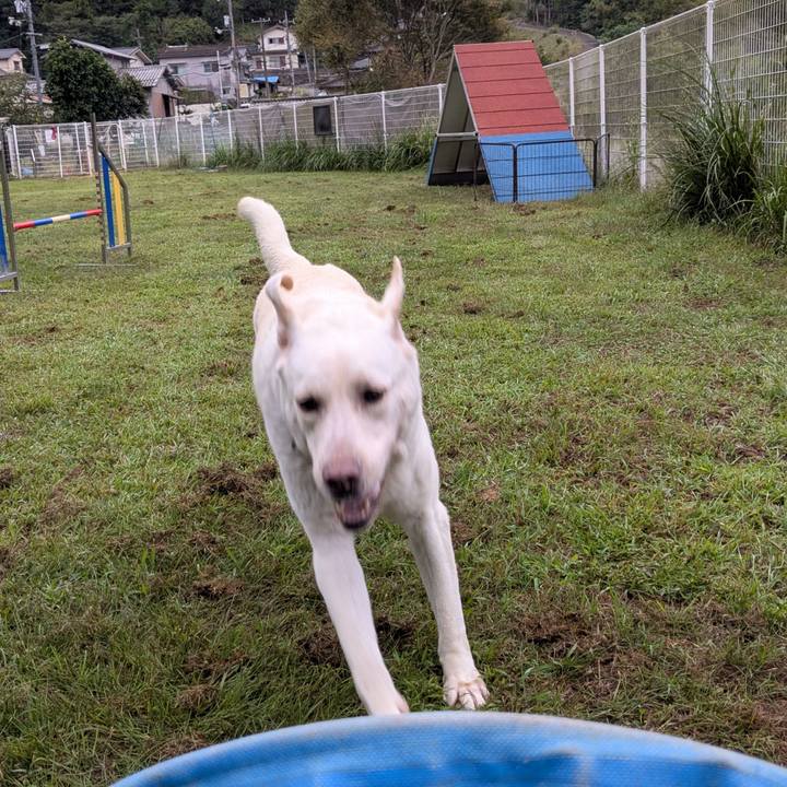 A9063661 018a 436e ab24 acbdfeb42cda 1759041702236
