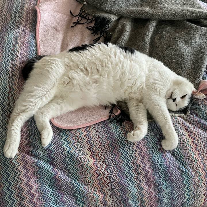 A9065171 eaa5 4d15 9254 2c9bf2cebb4d 1673393465299