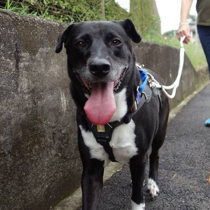 A9065bae 3dd4 4cda 9b63 b00fe5e248ca 1661474002804