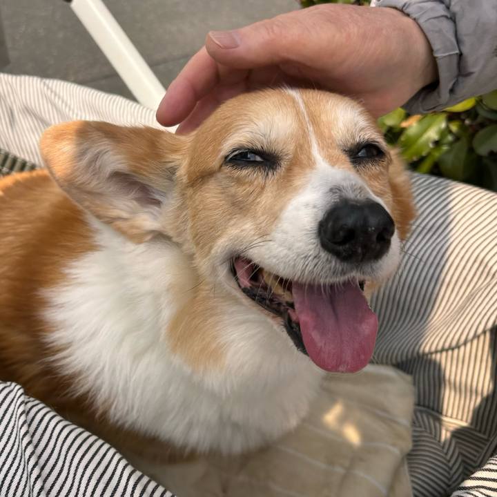 A9066583 a2ac 412e 8603 ceed7f30e56e 1773111588399