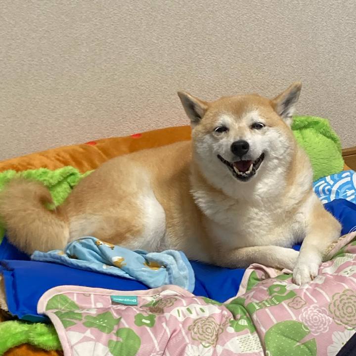 A9068903 4da3 43b3 8c9d e90d9b78b292 1627722440283